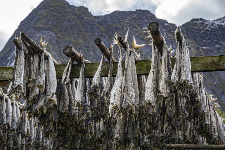 Historicamente, o bacalhau ganhou popularidade devido à sua facilidade de conservação quando salgado e seco, um método usado desde a época dos vikings e consolidado pela indústria pesqueira ao longo dos séculos. - Peter Bösken por Pixabay