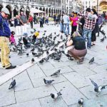 Veneza, Itália (praça st markâ)Pombos, aves - Flickr Jay Galvin