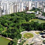 bosque dos buritis - Goiânia - Divulgação