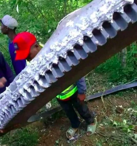 Lixo espacial de meia tonelada cai em vila no Quênia e assusta moradores