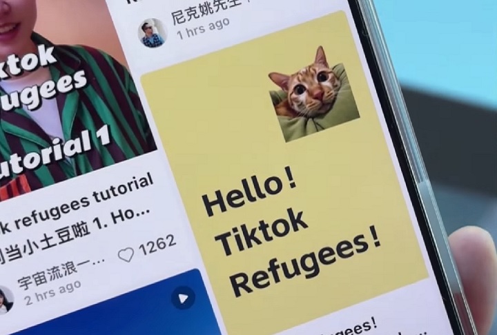 Embora ainda esteja disponível apenas em chinês e inglês, mais de 257 mil brasileiros já fizeram download do RedNote. 