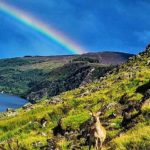Montanhas de Wicklow - Cidade: Wicklow, Irlanda - Arco-íris pelo mundo - Reproduçãoa do X @GotoIrelandNZ