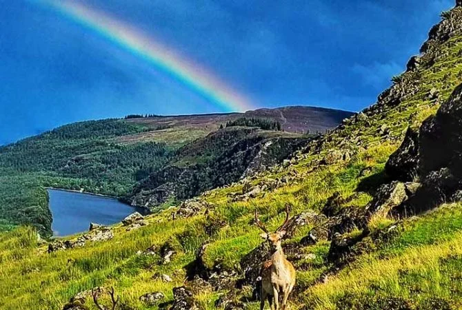 Privilégio natural: Lugares onde os arco-íris aparecem com frequência