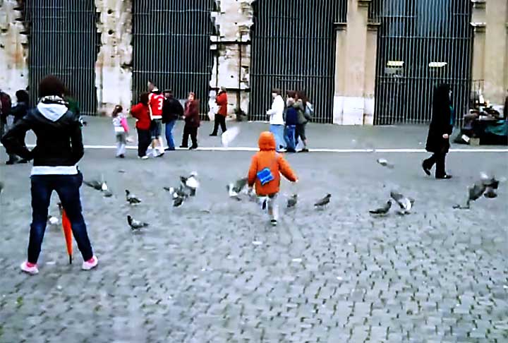 Roma, Itália: A Cidade Eterna tem muitos pombos, especialmente em locais históricos como o Coliseu. Eles são atraídos pela presença constante de turistas, mas também geram preocupações quanto à preservação do patrimônio.
