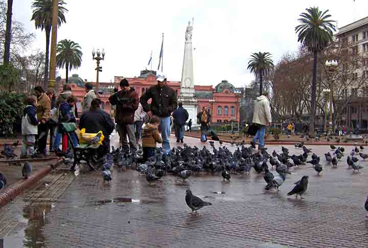 Buenos Aires, Argentina: A Plaza de Mayo é famosa por seus pombos, presentes devido à alimentação constante por visitantes. Embora sejam parte do cenário cultural, preocupações com higiene e conservação existem.

