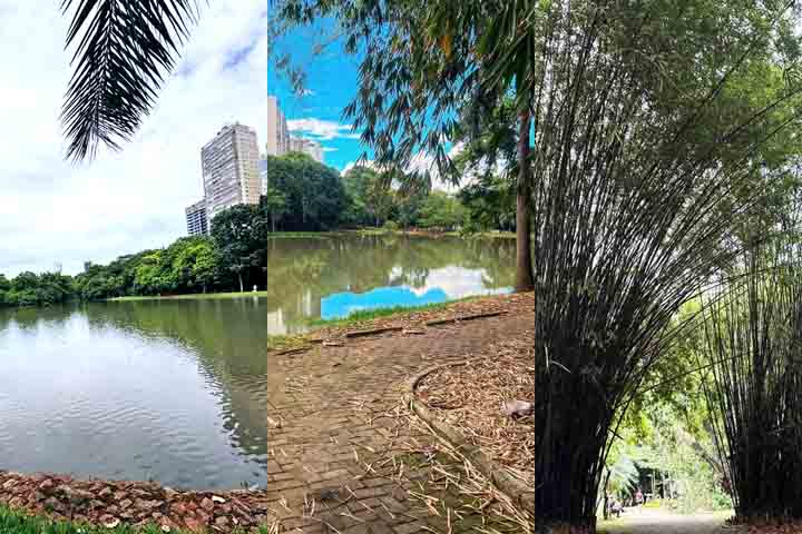Parque Areião: Fundado na década de 1970 e localizado entre os setores Marista e Pedro Ludovico, é um dos maiores parques urbanos de Goiânia. Com uma extensa área verde, trilhas e pequenos animais, atrai em média 10 mil pessoas por mês. É perfeito para lazer e contemplação.-Reprodução de Instagram