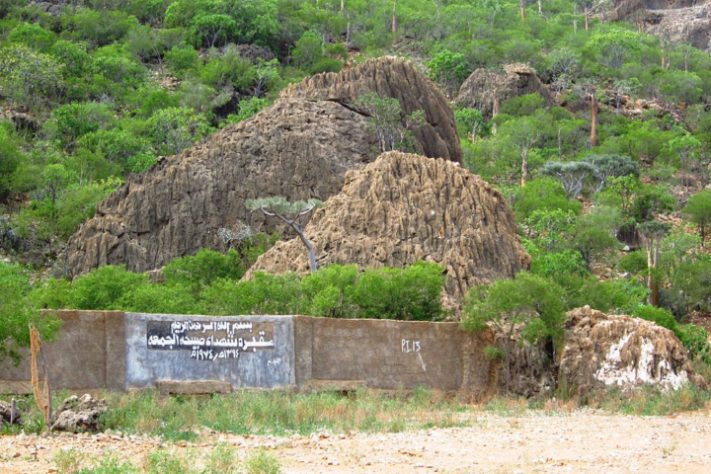 Ilha de Socotra, Iêmen