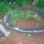Lixo espacial de meia tonelada cai em vila no Quênia e assusta moradores