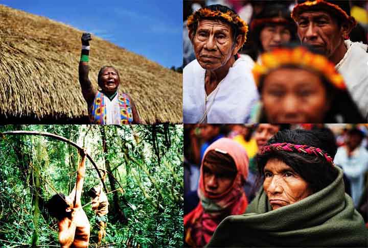 Paraguai: Povos como os Guarani representam uma parte essencial da cultura e lÃ­ngua do paÃ­s, com o Guarani sendo cooficial. Apesar disso, muitas comunidades vivem em condiÃ§Ãµes de vulnerabilidade. O governo implementa algumas polÃ­ticas de inclusÃ£o, mas os desafios continuam.
