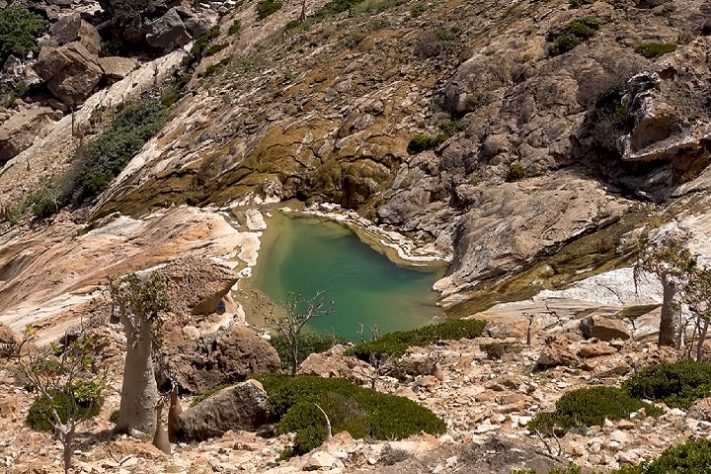 Ilha de Socotra, Iêmen