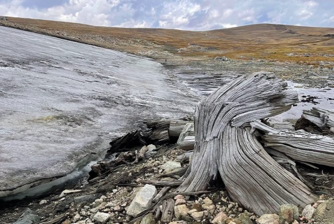 Gelo derrete e revela floresta de 6 mil anos oculta em montanha