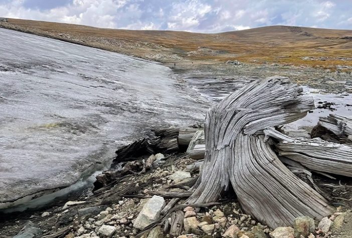 Derretimento de gelo revela floresta milenar em região montanhosa dos EUA
