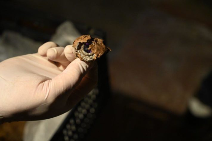 Artefatos funerários reais do século 16 são encontrados dentro de parede de catedral da Lituânia