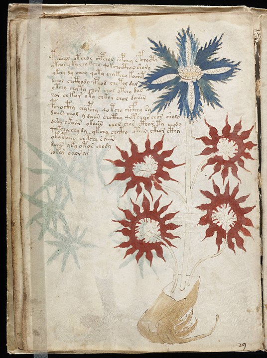 Alguns mistérios continuam, como o Manuscrito de Voynich, um codex ilustrado, com 240 páginas, do século 15. Ganhou a alcunha de "o livro que ninguém consegue ler". Foi descoberto na Polônia em 1912 pelo livreiro americano Wilfrid Voynich. O acadêmico Gerard Cheshire, da Universidade de Bristol, no Reino Unido, alegou tê-lo desvendado, mas a comunidade acadêmica rejeitou. 