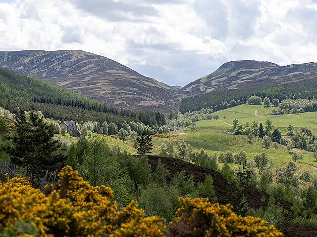 PARQUE NACIONAL DE CAIRNGORMS – ESCÓCIA, REINO UNIDO - Inaugurado em 2003, é o maior parque nacional do Reino Unido, abrigando vastos vales, florestas antigas e áreas montanhosas. Conhecido por suas espécies raras, como a águia-real e o gato-selvagem escocês.-Thomas Andy Branson - wikimedia commons 