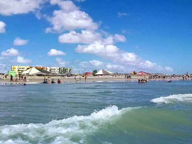 NInhos de tartarugas marinhas no litoral do Piauí