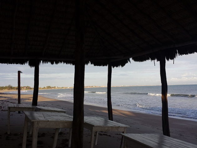 NInhos de tartarugas marinhas no litoral do Piauí