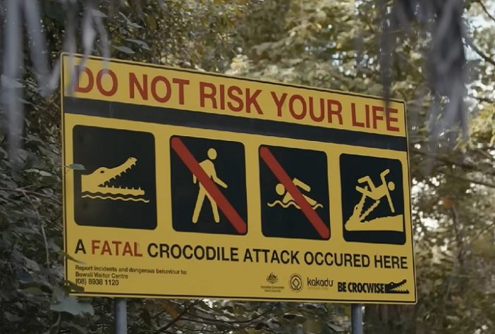 Território do Norte, na Austrália, tem mais de 100 mil crocodilos
