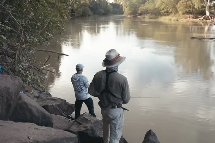 Território do Norte, na Austrália, tem mais de 100 mil crocodilos