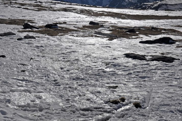 Planalto Beartooth, Wyoming