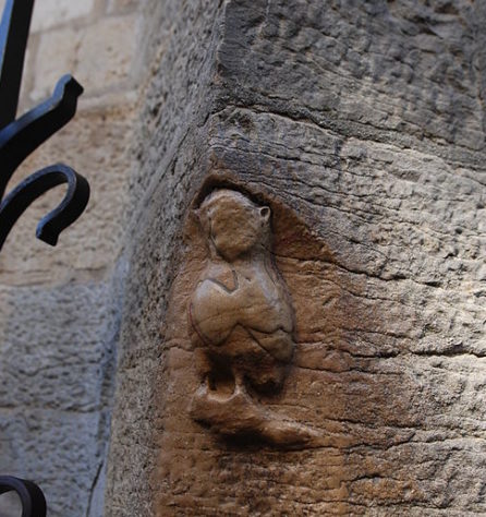 Coruja - Dijon, França