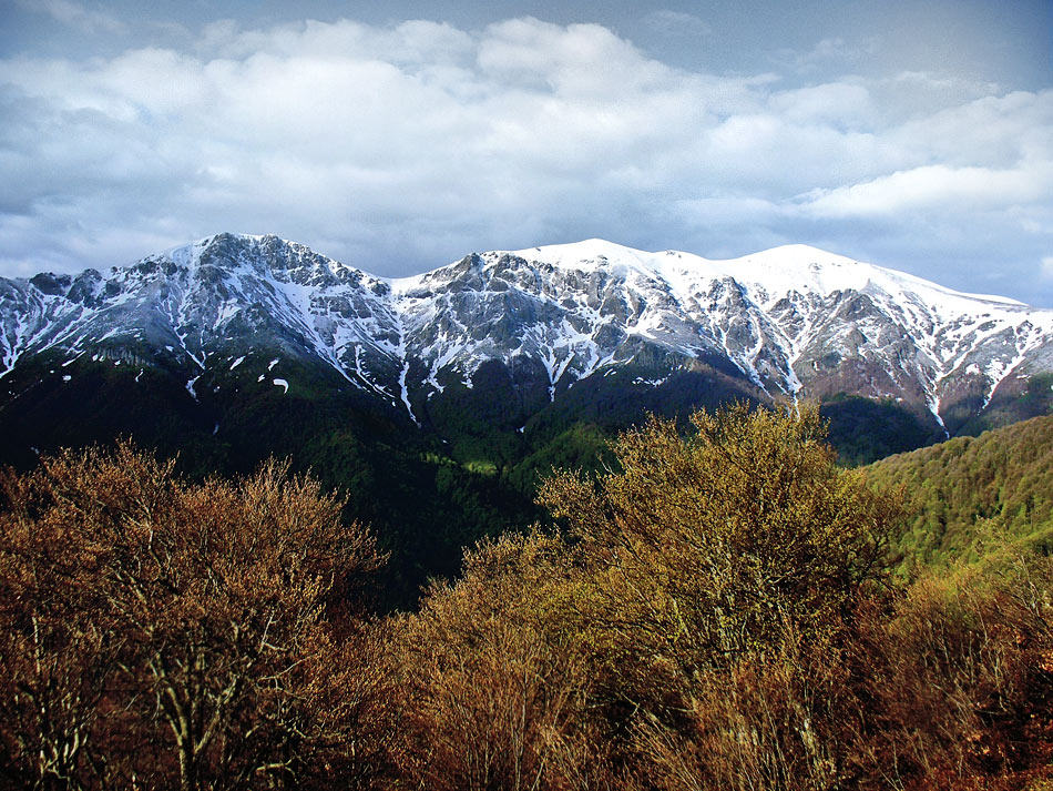 PARQUE NACIONAL DOS BALCÃS CENTRAIS – BULGÁRIA - Estabelecido em 1991, é conhecido por suas cachoeiras impressionantes e florestas virgens. Serve como habitat para muitas espécies ameaçadas nos Balcãs.
-Gerovitus91 - wikimedia commons