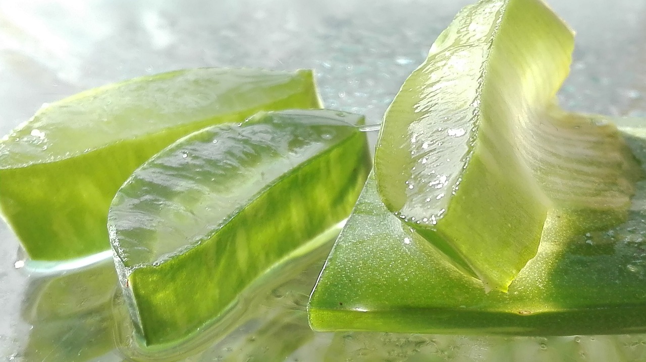 O suco de babosa, quando preparado de forma adequada, pode aliviar sintomas de prisÃ£o de ventre e equilibrar a flora intestinal, favorecendo o crescimento de bactÃ©rias benÃ©ficas no intestino. PorÃ©m, Ã© importante destacar que seu uso deve ser feito com cautela, pois, em doses elevadas, pode ter efeito laxativo.-