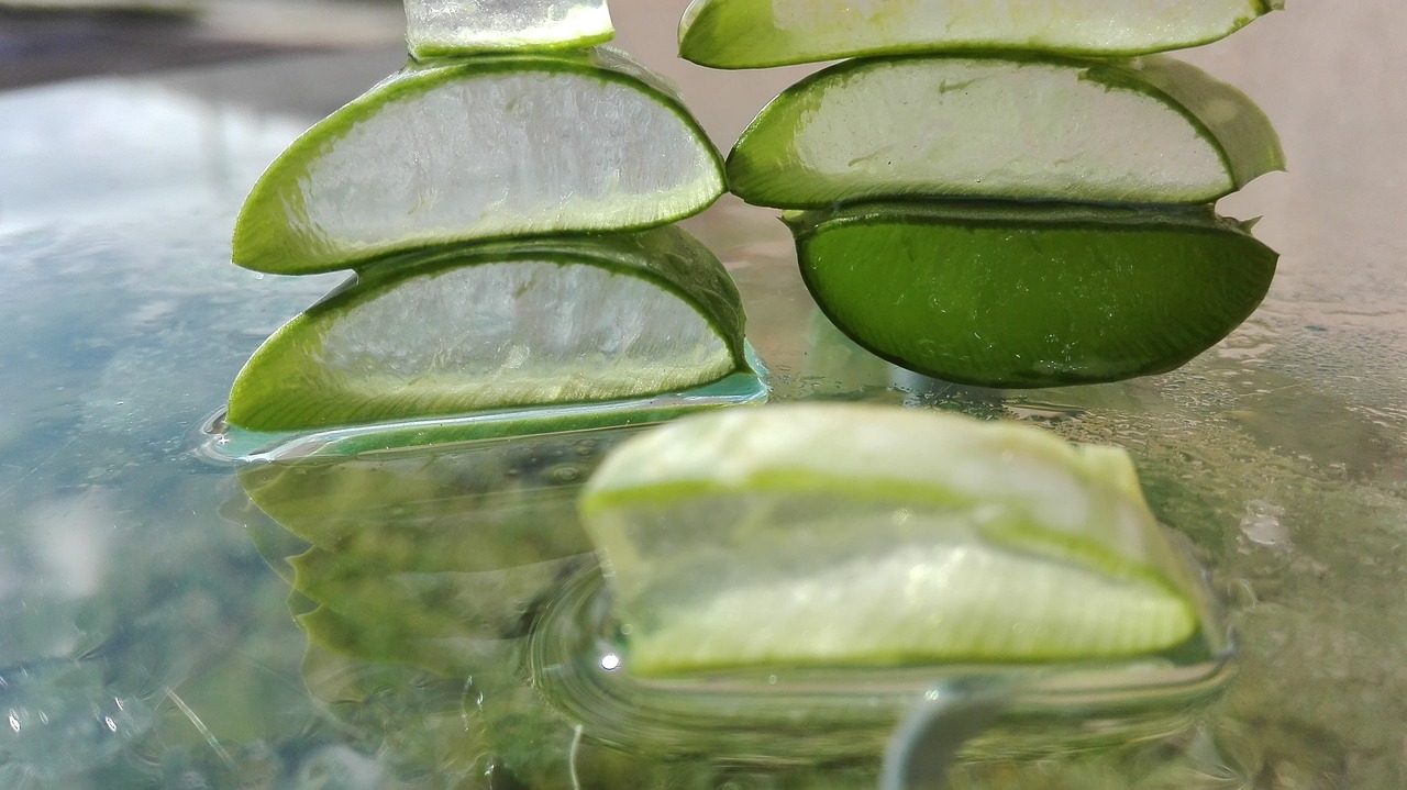 Além de sua aplicação externa, a babosa também é utilizada em tratamentos internos. Algumas pessoas recorrem ao seu uso como remédio caseiro para problemas digestivos, como refluxo e gastrite. A planta tem efeitos anti-inflamatórios que ajudam a aliviar a dor estomacal e a acidez. -