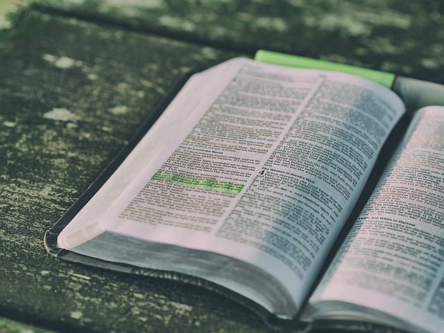 Filipenses 4:13 – “Posso todas as coisas naquele que me fortalece.” (sobre força na fé).
