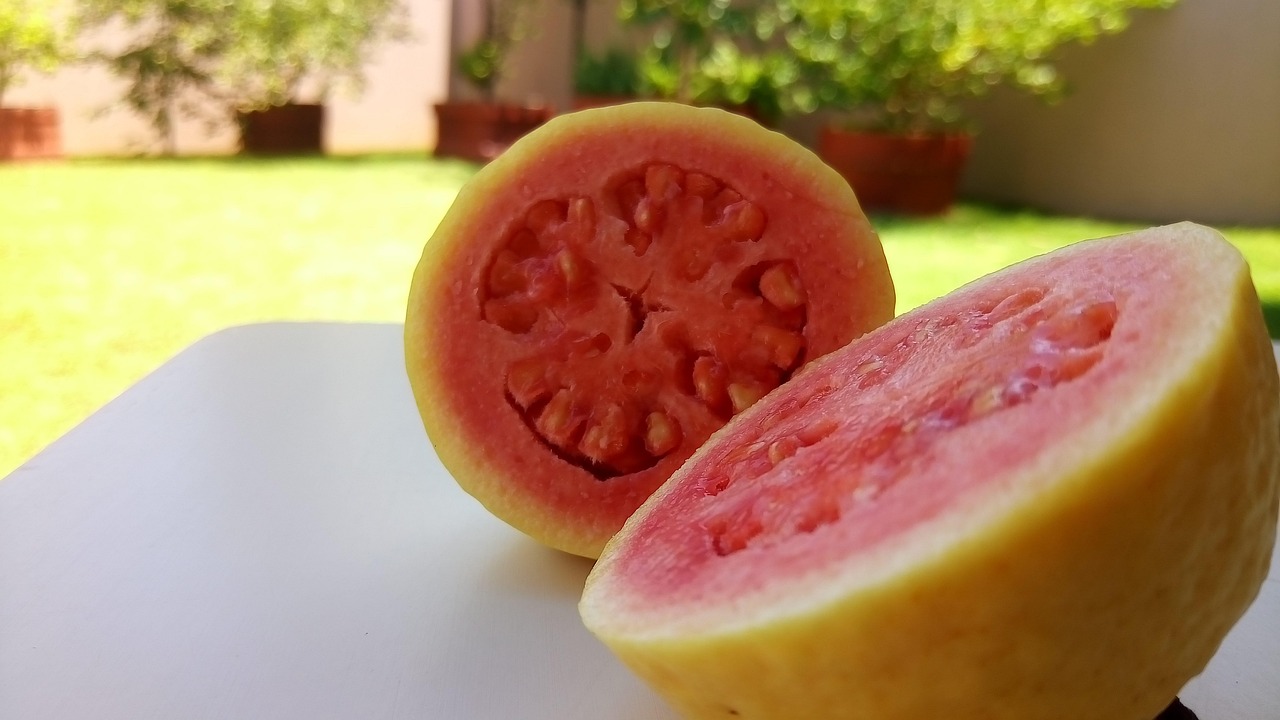 Goiaba é uma fruta versátil, rica em nutrientes e usada na medicina popular