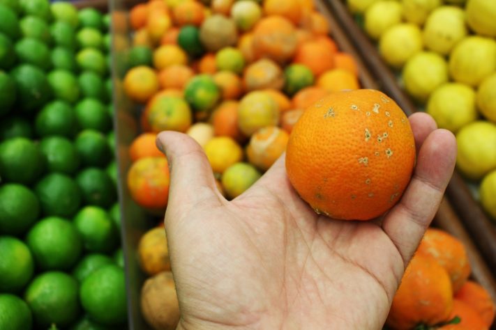 Laranja fruta - Daniel Dan outsideclick/Pixabay