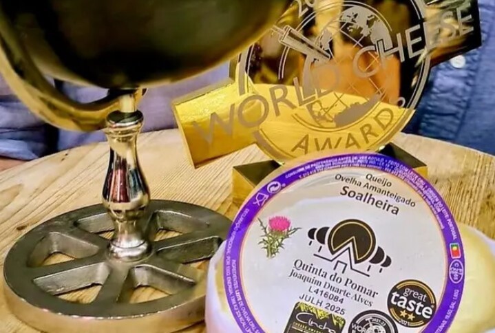 O vencedor do prêmio, eleito o melhor queijo do mundo em 2024, foi o Queijo de Ovelha Amanteigado, produzido pela Quinta do Pomar, na freguesia de Soalheira, em Portugal. 
-Reprodução/Instagram