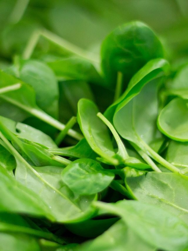 Espinafre é nutrição! Os benefícios do vegetal que dá força ao Popeye