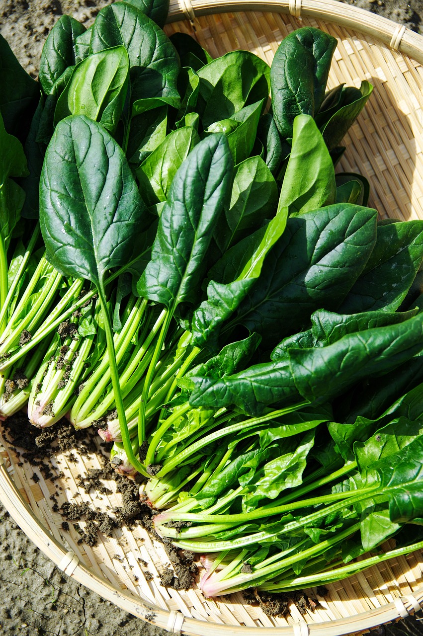 Essa verdura verde escura é uma fonte rica de fibras dietéticas, vitaminas e minerais, como ferro e magnésio. As fibras dietéticas desempenham um papel na promoção da saúde digestiva e podem ajudar a aliviar a prisão de ventre.