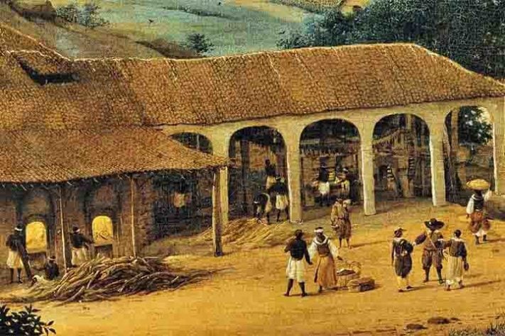 Cana-de-açúcar e seus derivados