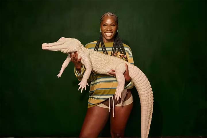 “Alligator Bites Never Heal” é considerado uma mixtape, formato que está mais para uma compilação de músicas que o conceito clássico de álbum. 
