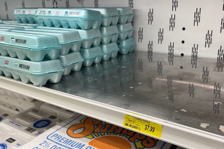 Surto de gripe aviária provoca 