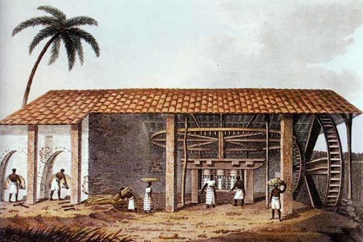 Cana-de-açúcar e seus derivados