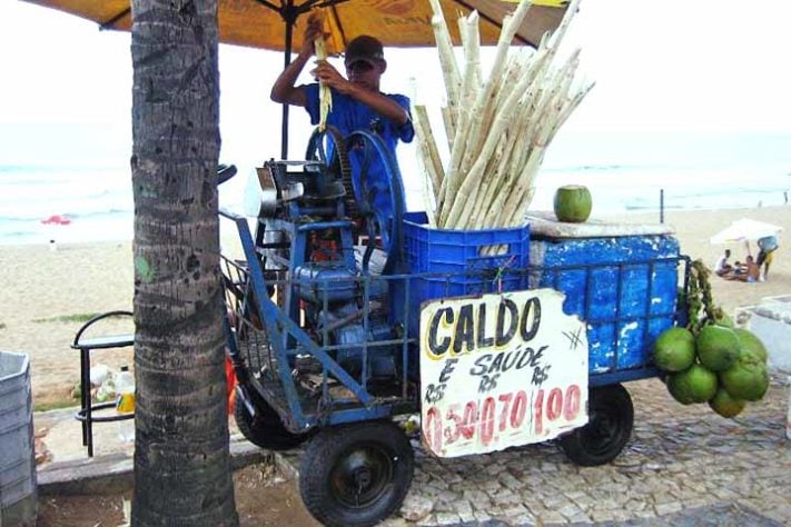 Cana-de-açúcar e seus derivados