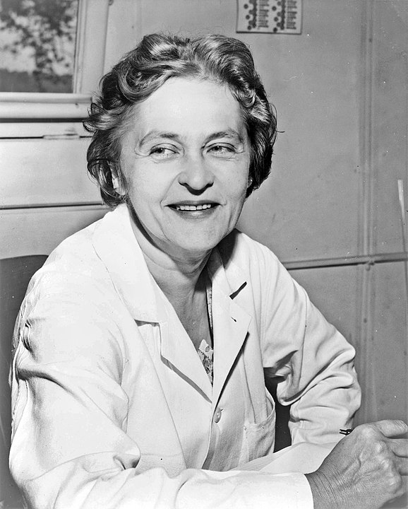 Mária Telkes (1900-1995) foi uma física-química húngara, famosa por seus estudos sobre energia solar. Ela desenvolveu sistemas inovadores para dessalinizar água do mar e também contribuiu para o desenvolvimento de sistemas de aquecimento solar, sendo apelidada de 
