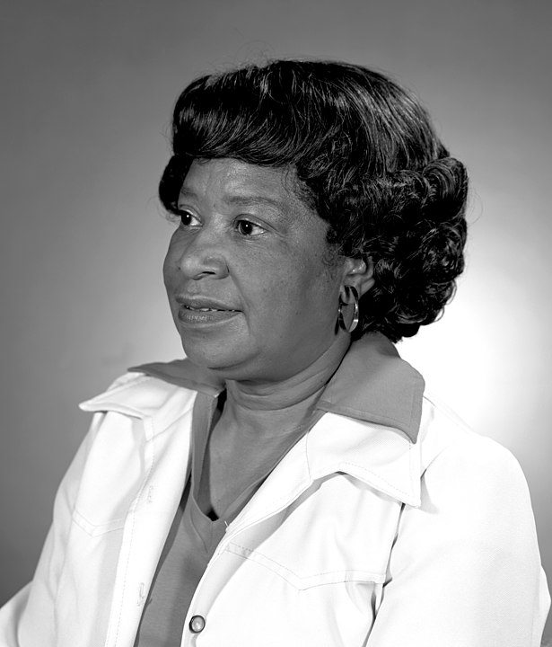 Esse filme, baseado no livro de Margot Lee Shetterly, retrata a importância da inclusão de mulheres em campos como a matemática, física e engenharia. Ao celebrarmos este dia, é essencial conhecer e reconhecer o legado dessas e de muitas outras mulheres. Vamos conhecer?