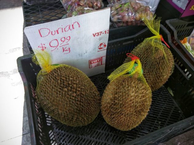 Durian