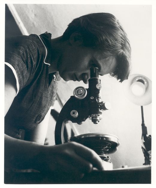 Rosalind Franklin (1920-1958) foi uma biofísica britânica cujos estudos com a difração de raios-X contribuíram para a descoberta da estrutura do DNA. Apesar de não ter sido reconhecida em vida, Franklin é considerada a 