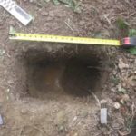 Arqueólogos encontram esconderijo que pode ser armazém de comida de 10 mil anos no Alasca