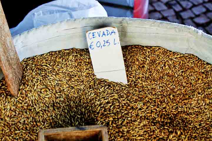 Ela, então, fornece muitos benefícios para a saúde, como o emagrecimento, assim como diminui o colesterol 