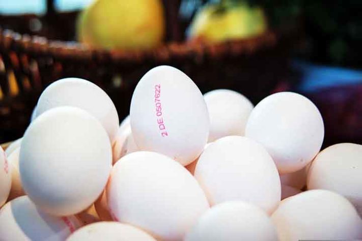 Ovos