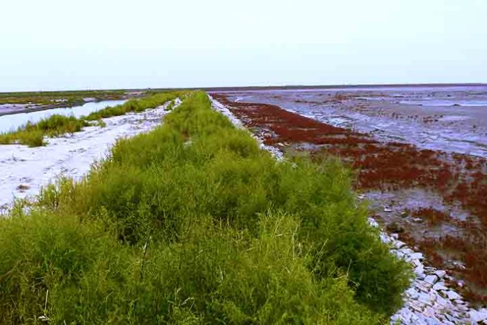 Praia Vermelha
