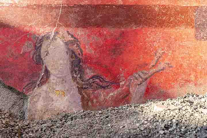 O afresco data do primeiro século antes de Cristo e é considerado um dos achados mais relevantes feitos no Parque Arqueológico de Pompeia em mais de um século. 
