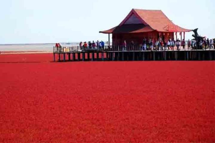 Praia Vermelha