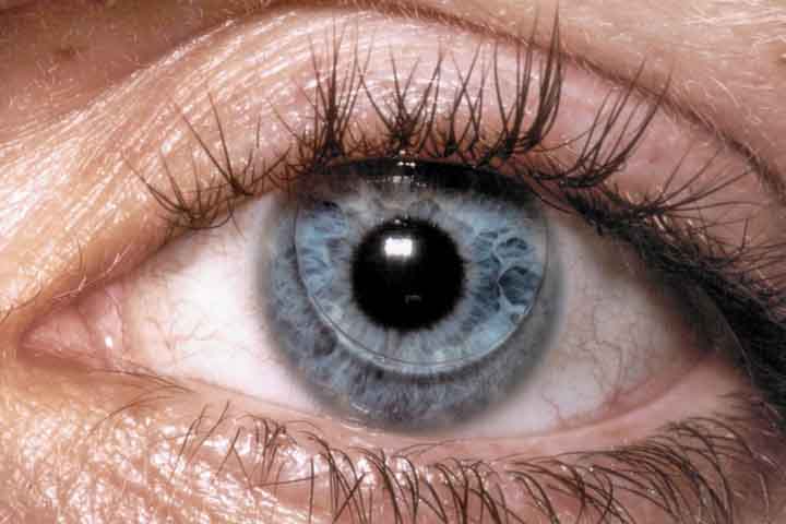 A introduÃ§Ã£o das lentes descartÃ¡veis e multifocais nas dÃ©cadas de 80 e 90 consolidou o uso das lentes de contato como uma alternativa viÃ¡vel aos Ã³culos. 